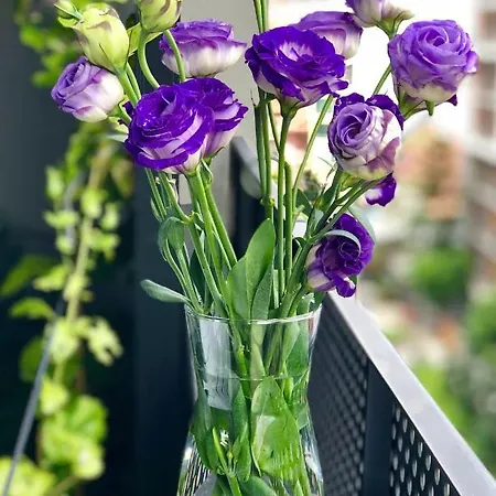 No 2 Leitrim Road Carrick on Shannon