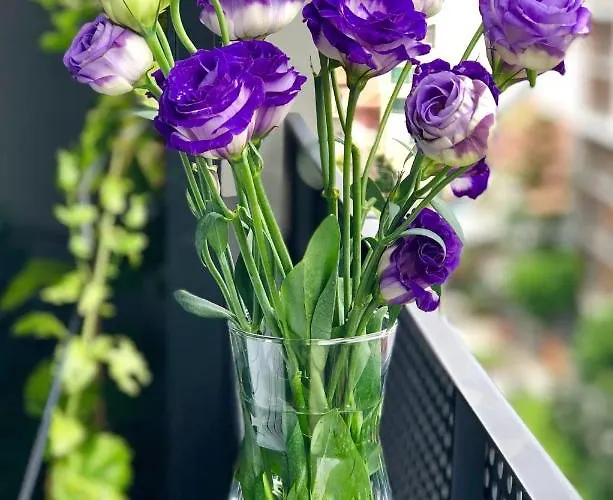 No 2 Leitrim Road Carrick on Shannon